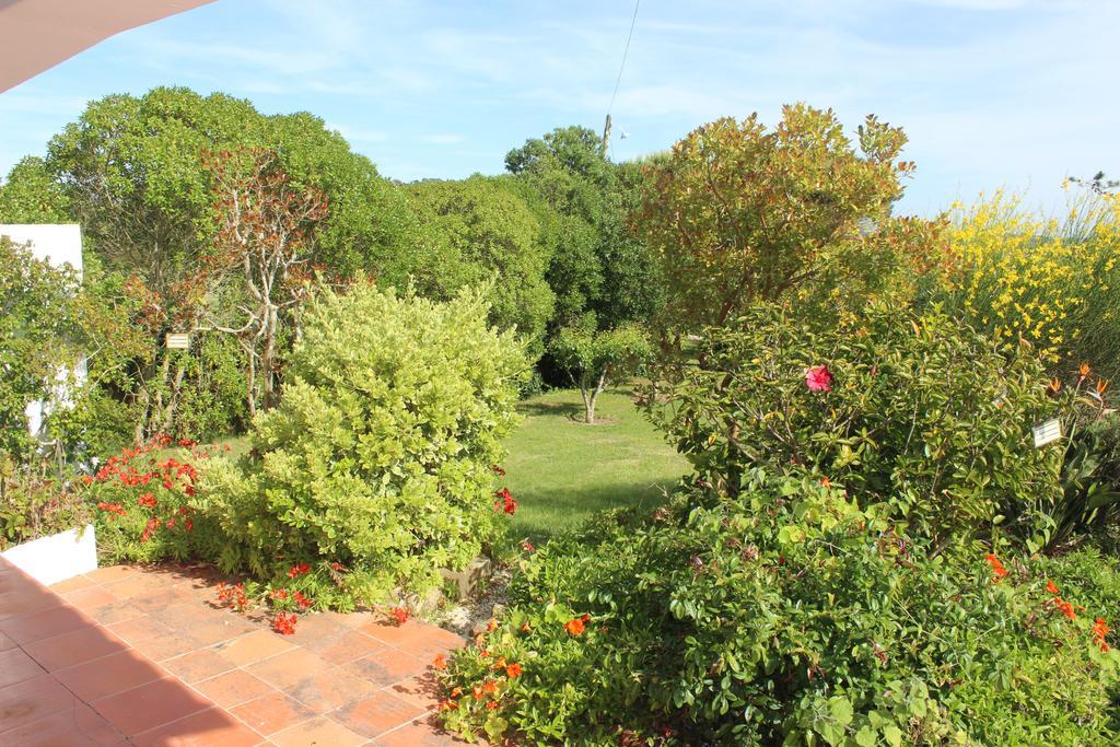 Casal Novo Guest House Sao Martinho do Porto Exterior photo