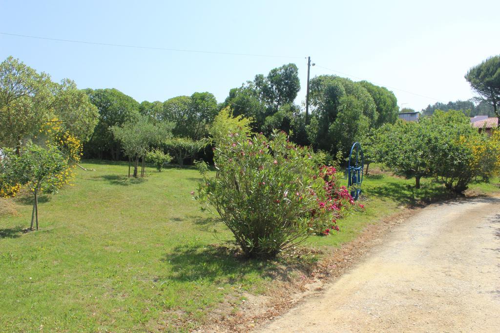 Casal Novo Guest House Sao Martinho do Porto Exterior photo