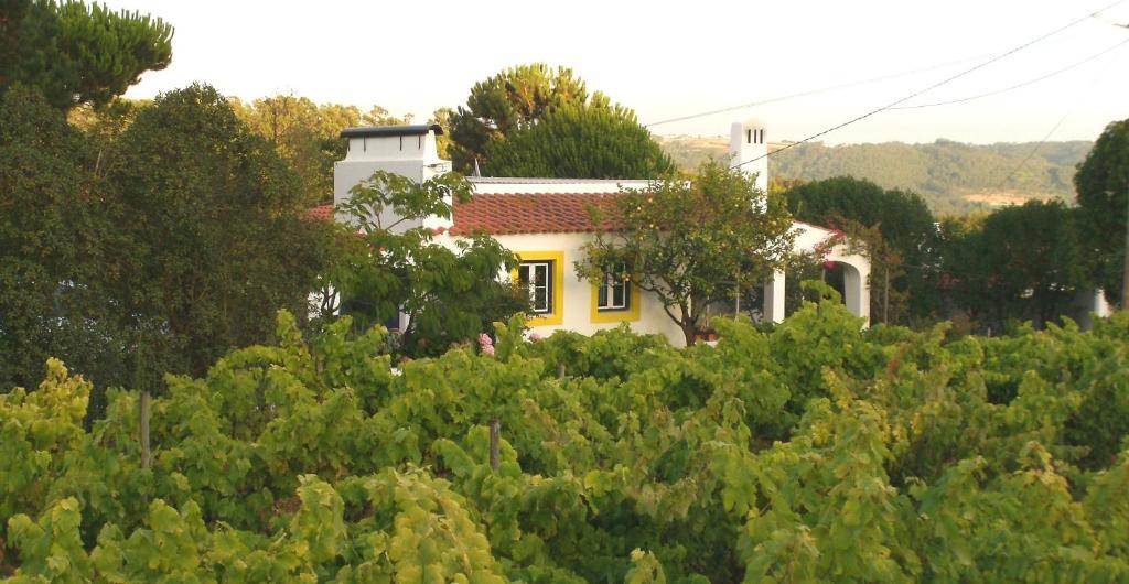 Casal Novo Guest House Sao Martinho do Porto Exterior photo